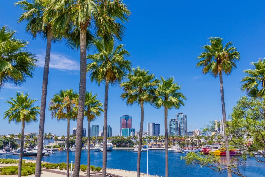 palms and beach near anxiety treatment center for young adults